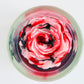 Blacker the Berry (Decorative Top)